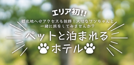 エリア初