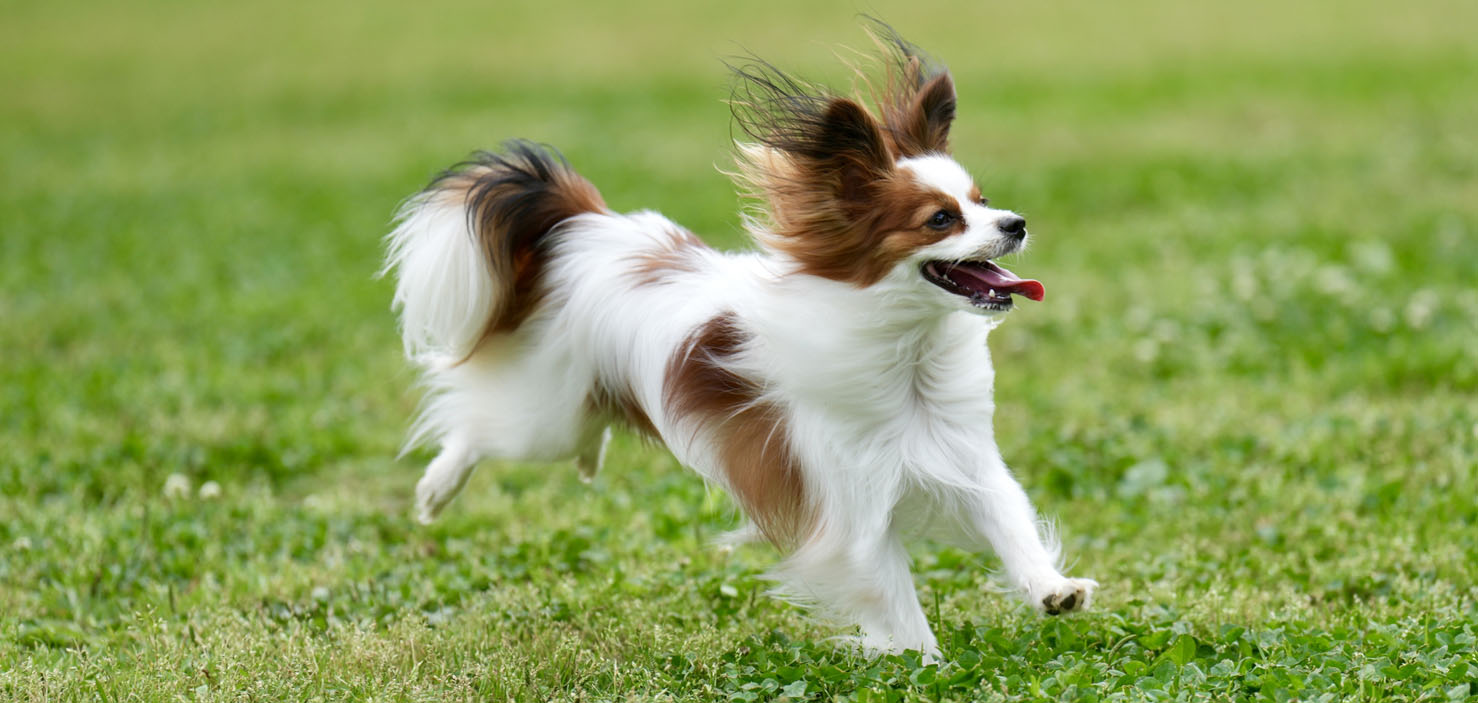 サービスイメージ