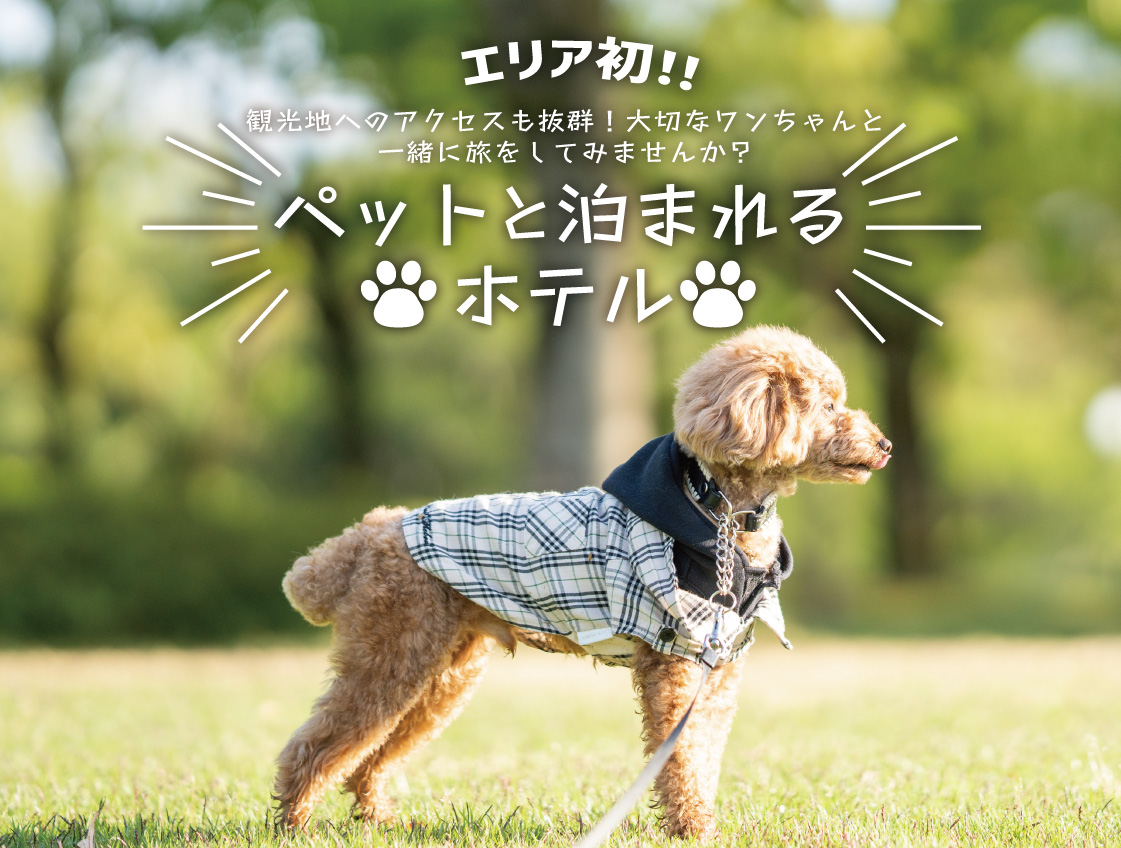 ドッグプランイメージ